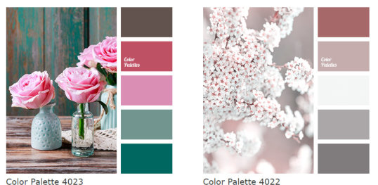 Colour palette