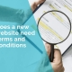 Does a new website need terms and conditions