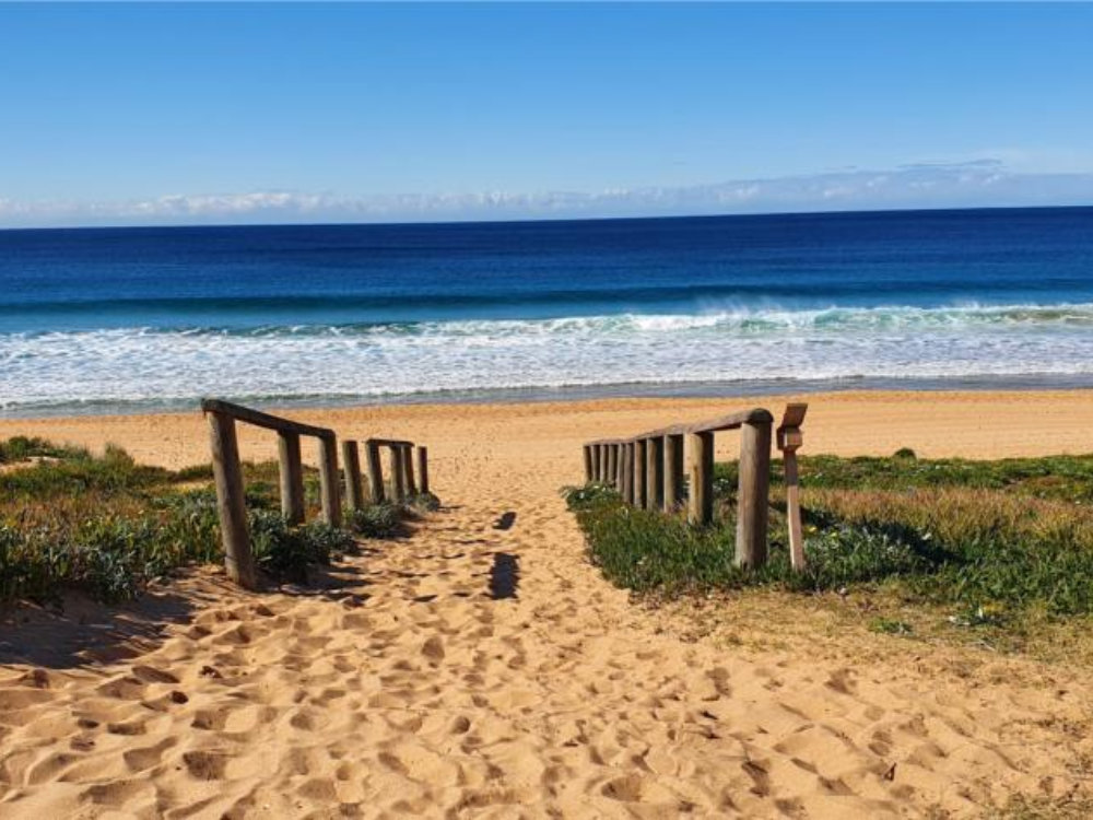 Narrabeen Website Design