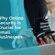 Why online security is crucial for small businesses