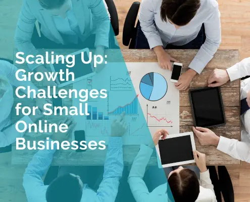 Scaling up - growth challenges for small online businesses